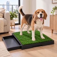 BAÑO PARA PERROS CÉSPED SINTÉTICO IDEAL PARA DEPARTAMENTOS