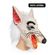 imageUrl_5