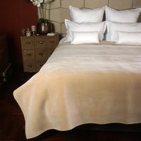 Frazada Fibra De Espuma Aislante Antialérgica Premium - Beige Arlin Queen