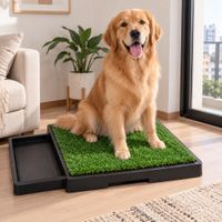 Baño Sanitario Para Perros Grandes | Ideal Para Casa Y Departamento