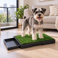 Baño Para Perros En Departamento | Sanitario Portátil Para Mascotas