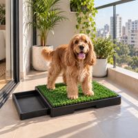 Baño Portátil Para Perro Pequeño | Sanitario Para Departamento Y Casa