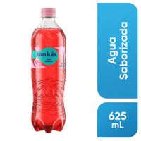 Agua sin Gas SAN LUIS Sabor a Arándano Botella 625ml