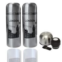 Termo Plateado Modelo Deportivo Paris  500 ML 2 Und