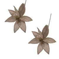 Set de 2 Flores Navideñas Tipo Cardinal Champaña FN171 FLORIPASTORE