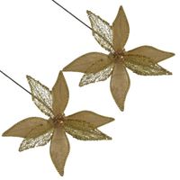 Set de 2 Flores Navideñas Tipo Cardinal Champaña FN172 FLORIPASTORE