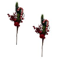 Set de 2 Picks de Bengala Y Moras de 34cm FN135 FLORIPASTORE