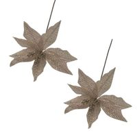 Set de 2 Flores Navideñas Tipo Cardinal Champaña FN168 FLORIPASTORE