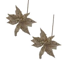 Set de 2 Flores Navideñas Tipo Cardinal Champaña FN169 FLORIPASTORE