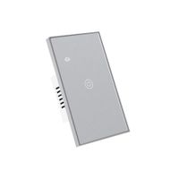 Interruptor Inteligente Wifi Simple 1 Botón Gris