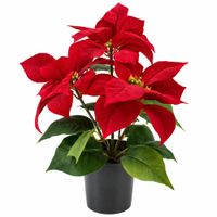 Bouquet Navideño De Flor Tipo Cardenal De 10Cm Fn280 Floripastore