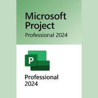 Microsoft Project Professional 2024
