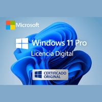 Microsoft Windows 11 Pro