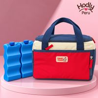 Cooler Bag o Lonchera Termica con 2 Bloques Refrigerantes