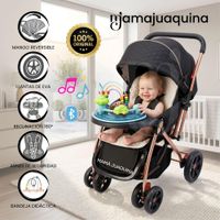 Coche Cuna De Lujo CARRUSEL Edición Limitada Black