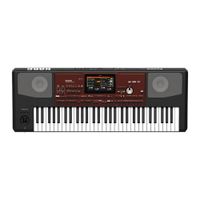 KORG Pa700 Teclado Profesional Arranger 61 Teclas