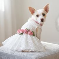 VESTIDO BLANCO DE ENCAJE PARA PERRO Y GATO - XS
