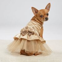 VESTIDO MASCOTA DORADO CON TUL Y LAZO ENCAJE - TALLA XS