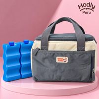 Bolso de Lactancia Térmico Cooler Bag GRIS con 2 Bloques Refrigerantes Almacenamiento Portátil