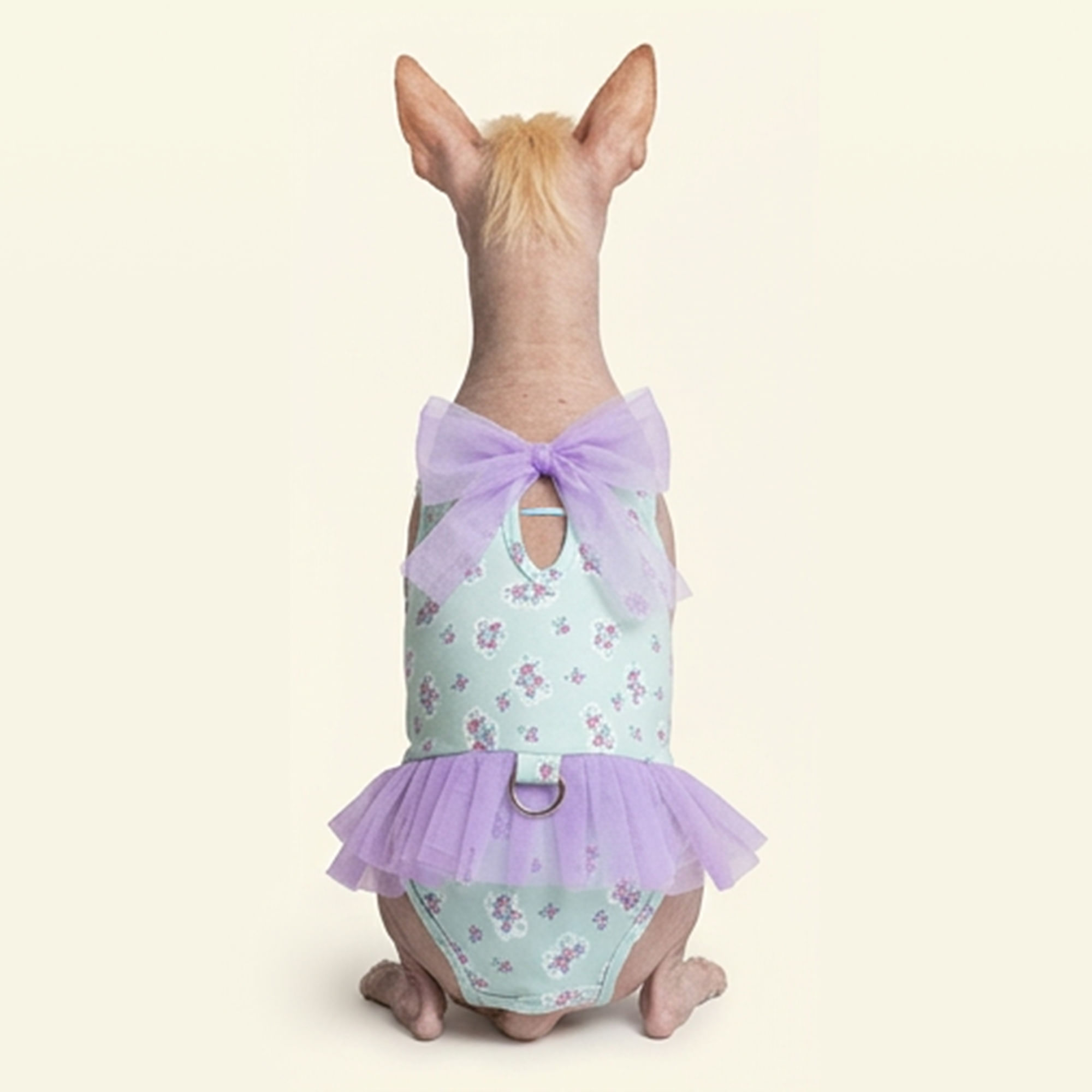 ENTERIZO ROPA DE BAÑO PARA PERRO Y GATO TUL Y LAZO TUQUESA Y LILA - TALLA L