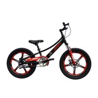 Bicicleta Montañera Px Aro 20 Rojo
