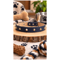 Collar Tipo Cuerina Con Púas Decorativas Para Perros - Azul oscuro