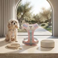 Arnés Acolchado Antitirones para Perros Talla L-Malla Transpirable-Franjas Reflectantes y Rosa Estam