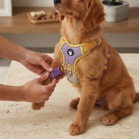 Arnés Acolchado Antitirones para Perros Talla XL-Malla Transpirable- Franjas-Lila y amarillo