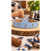 Collar Tipo Cuerina Con Diseño Para Perros - Celeste