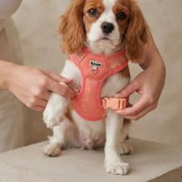 Arnés Acolchado Antitirones para Perros Talla M-Malla Transpirable- Franjas Color Coral-Amarillo