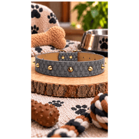 Collar Tipo Cuerina Con Diseño Para Perros - Gris