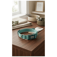 Collar de Nylon Ajustable Con Hebilla de Plástico Para Perros - Verde agua con turquesa