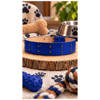 Collar Grande Tipo Cuerina Con Bolitas Decorativas Para Perros - Azul