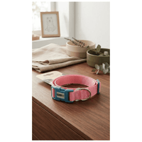 Collar de Nylon Ajustable Con Hebilla de Plástico Para Perros - Rosado con celeste