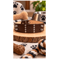 Collar Grande Tipo Cuerina Con Puas Decorativas Para Perros - Marrón oscuro