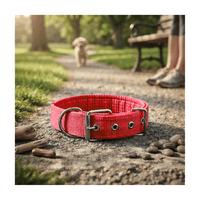Collar de Nylon  Acolchado Para Perros - Rojo