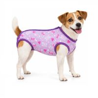 Faja Post Operatoria De Algodón Para Mascotas Perros Y Gatos Hembra Hello Kitty Lila Talla 2