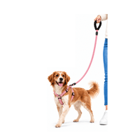 Correa Con Arnés Para Paseos Para Perros - Rosado Pastel