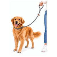 Correa De Entrenamiento Antitirones Para Perros - Gris