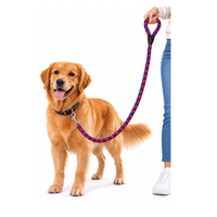 Correa Gruesa Para Pasesos de Perros - Azul y rojo