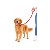Correa De Entrenamiento Antitirones Para Perros - Rojo