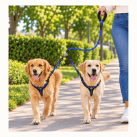Correa Doble Para Paseos De Perros - Azul
