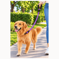 Correa Reflectiva Para Paseos Para Perros - Morado
