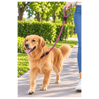 Correa Reflectiva Para Paseos Para Perros - Fucsia con negro