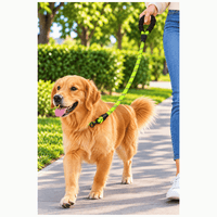 Correa Reflectiva Para Paseos Para Perros - Verde fosforescente