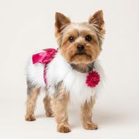 ABRIGO PELO LARGO MASCOTA PERRO GATO COLOR BLANCO TALLA XL