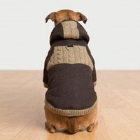 CASACA MARRÓN CON CAPUCHA POLAR PARA PERRO Y GATO - TALLA L