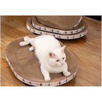 Rascador Ovalado para Gatos - Cartón Corrugado Resistente - 55 cm
