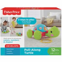 Tortuga de Aprendizaje FISHER PRICE