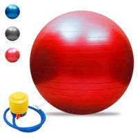 Pelota para Ejercicios de Yoga o Pilates 75cm.